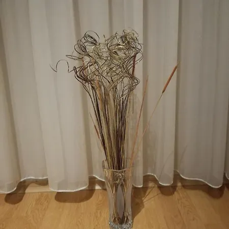 за гости георгиеви Appartement *