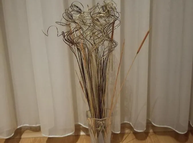 за гости георгиеви Apartment *